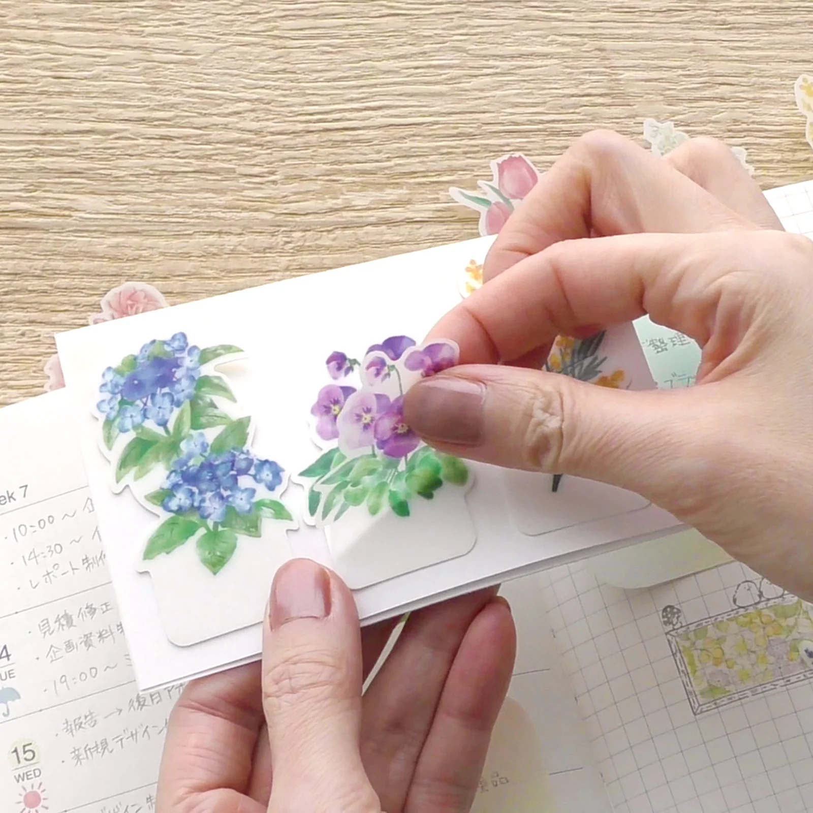 Thumbnail 6